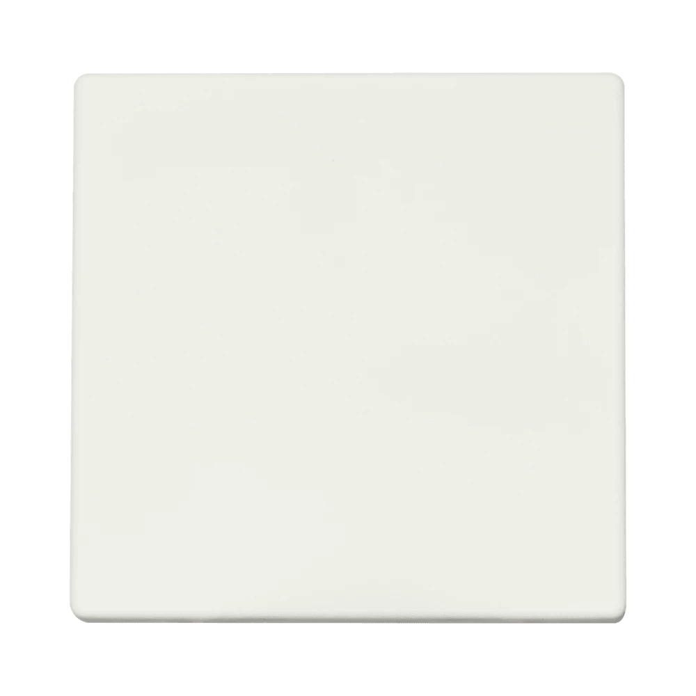 ION, Bedieningswip E1 wissel- of kruisschakelaar centraalplaat/frontstuk, mat wit.